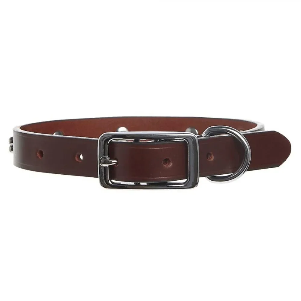 Top‎ Paw Bone Studded Brown Leather Dog Collar Size Medium 14-18 in